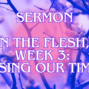 In the Flesh, Week 3: Repentance and Re-Vision