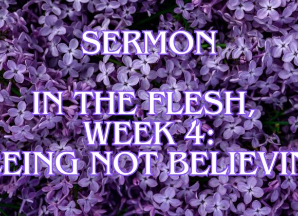 In the Flesh, Week 4