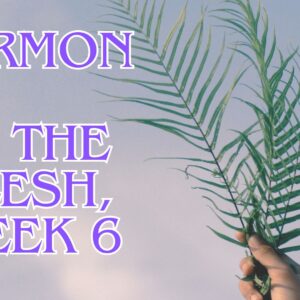 In the Flesh, Week 6: Faithful Hope