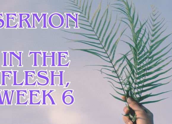 In the Flesh, Week 6: Faithful Hope